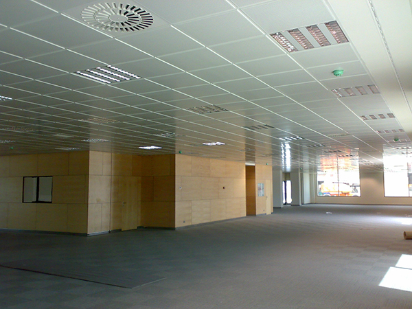 paredes y techos de pladur