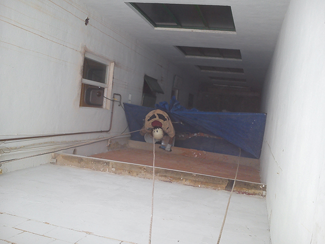 rehabilitacion patio interior